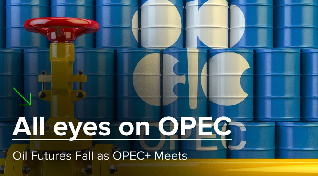 All eyes on OPEC